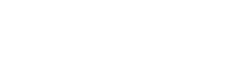 Ledel Invest